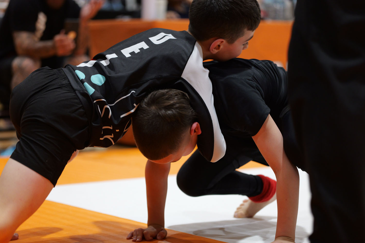 044 - Grappling-Industries-lumix