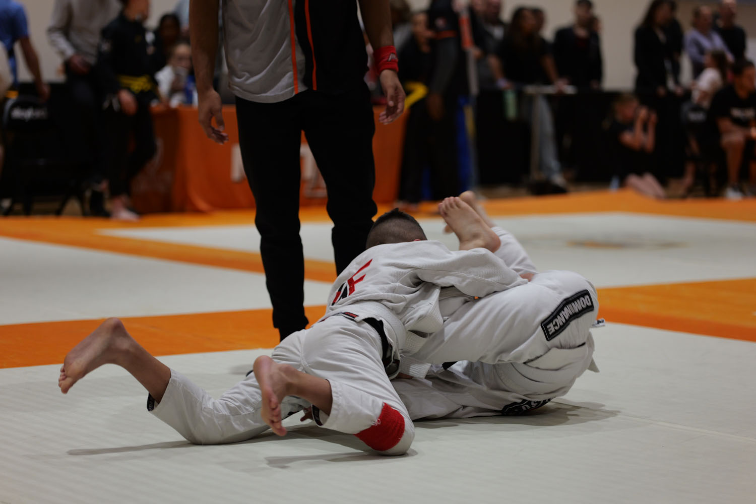 091 - Grappling-Industries-lumix